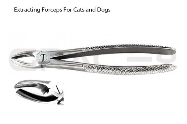 Extracting Forceps Fig-1