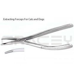 Extracting Forceps For Dogs