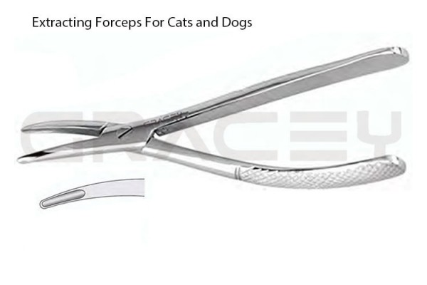 Extracting Forceps For Dogs