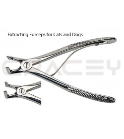 Extracting Forceps Angled 