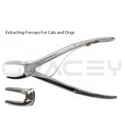 Extracting Forceps Small
