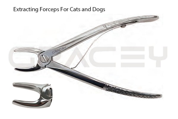 Extracting Forceps Small