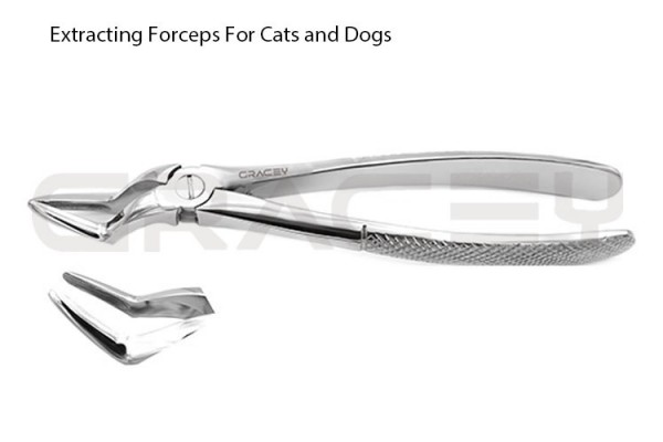 Extracting Forceps Fig-51
