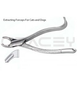 Extracting Forceps American Fig-15
