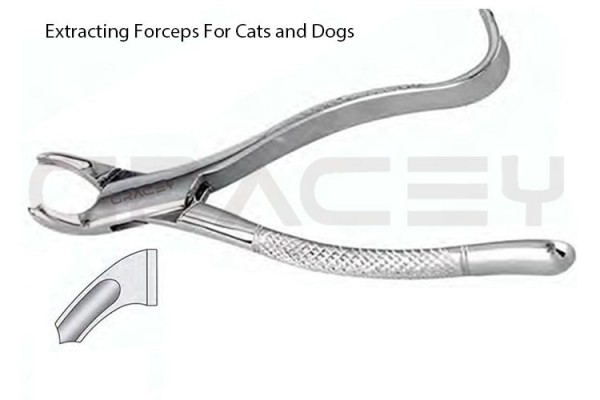 Extracting Forceps American Fig-15
