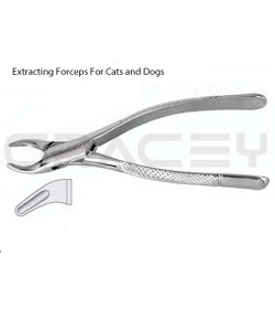 Extracting Forceps American Fig-150