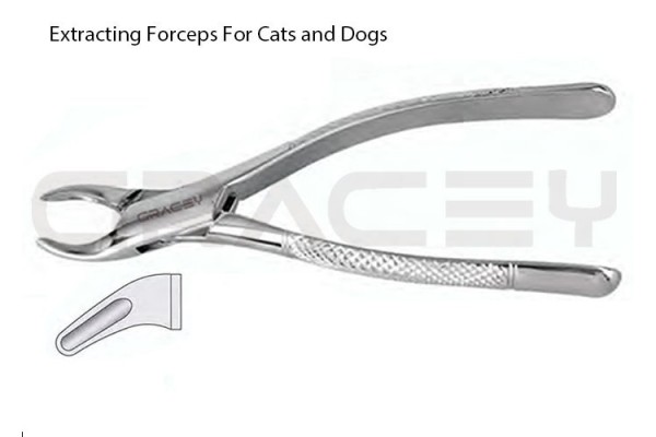 Extracting Forceps American Fig-150