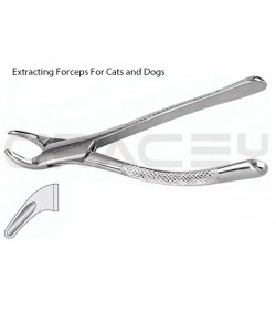 Extracting Forceps American Fig-151