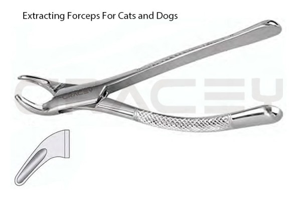 Extracting Forceps American Fig-151