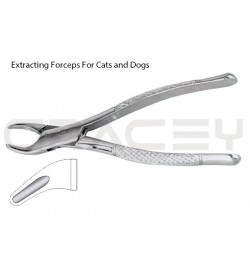 Extracting Forceps American Fig-101