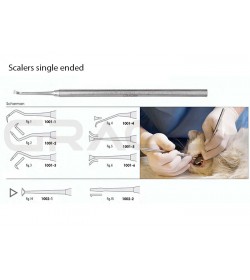 Scalers for Cats and Dogs 
