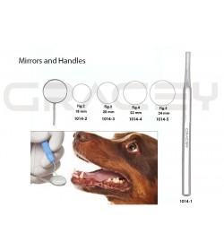 Mouth Mirrors and Handle