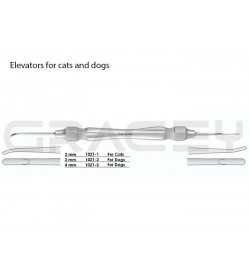 Elevators for Cats & Dogs 