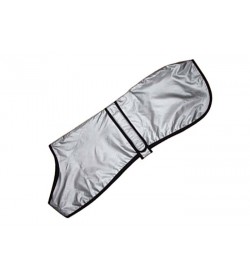 Whippet Summer Coats