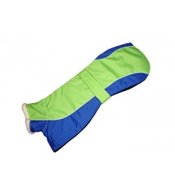 Greyhound Winter Fashion