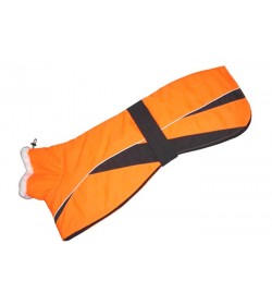 Greyhound Winter Fashion