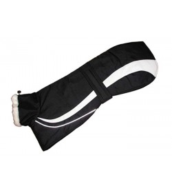 Greyhound Winter Fashion