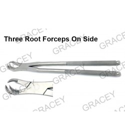 Three Root Forceps On Side