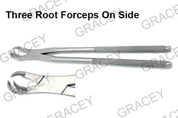 Three Root Forceps On Side