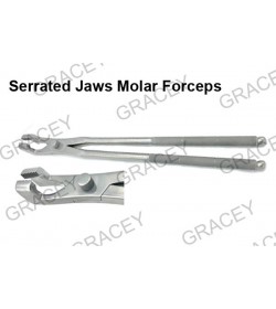 Serrated Jaws Molar Forceps