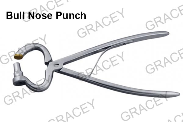 Bull Nose Punch