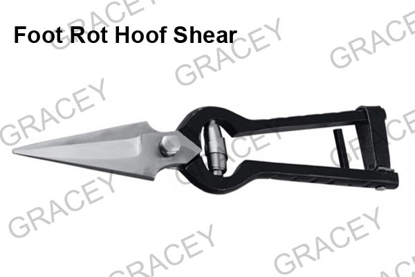 Foot Rot  Hoof Shear 