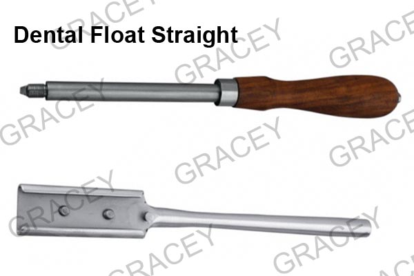 Vet Dental Float Straight