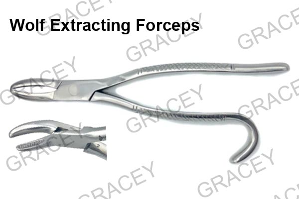 Wolf Extracting Forceps