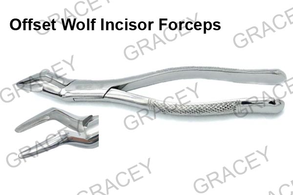 Offset Wolf Incisor Forceps 