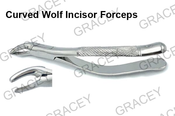 Curved Wolf Incisor Forceps