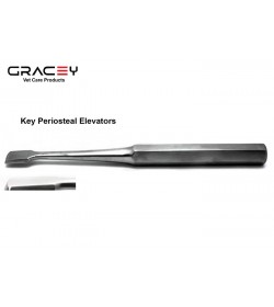 Key Periosteal Elevators 