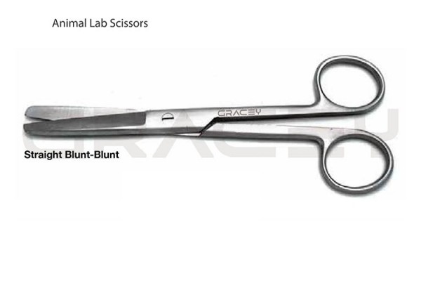 Surgical Scissors Blunt 