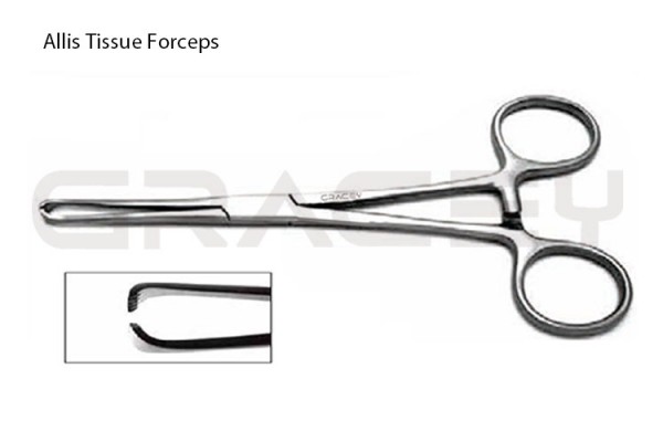 Allis Tissue Forceps