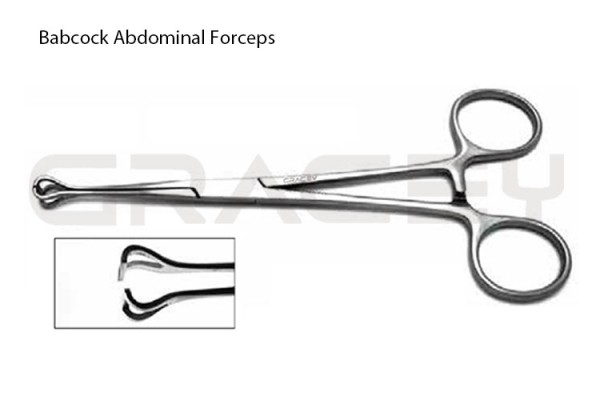 Veterinary Babcock Forceps 