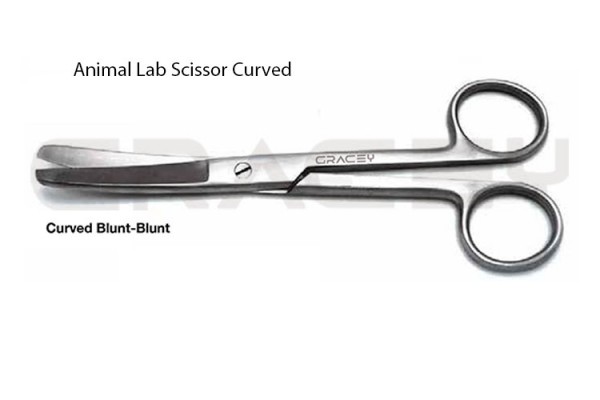 Surgical Scissors Curved Bl/Bl