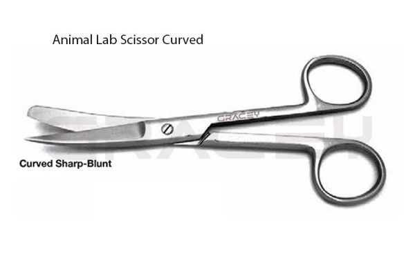 Surgical Scissors Curved Blunt Sharp