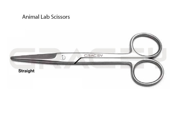Mayo Dissecting Scissors Straight 