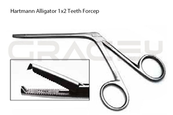 Hartmann Alligator Forceps 1X2 Teeth