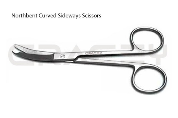 Northbent Scissors Regular