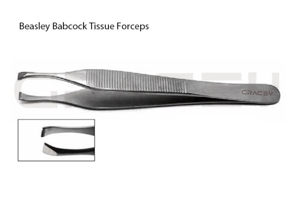 Beasley Babcock Forceps
