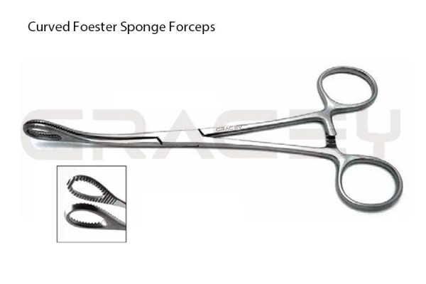 Foester Sponge Forceps Curved