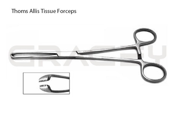 Allis Tissue Forceps Thomas